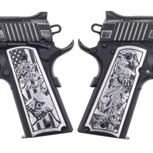 UNITED WE STAND 1911 45ACP NS#