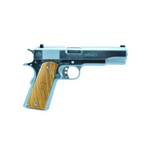 GOVERNMENT 1911 45ACP CHRM 8+1