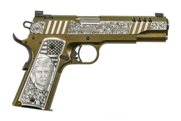 RALLY CRY 1911 45ACP NS 7+1 #